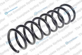 4227620 Пружина ходовой части | зад правлев