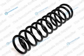 4235735 Пружина ходовой части | зад правлев