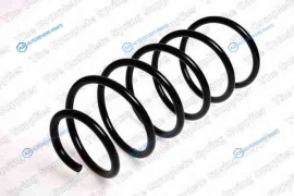 4095829 Пружина ходовой части | перед правлев