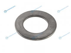 096245-0020 Шайба плунжерная нижняя