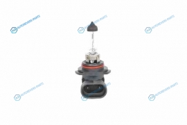 1987302153 Лампа STANDARD HB4 12V 51W 1987302153