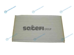 CF10917 Фильтр салонный FRAM