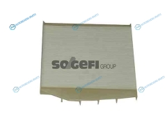 CF10129 Фильтр салонный FRAM