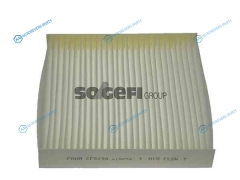 CF9294 Фильтр салонный FRAM