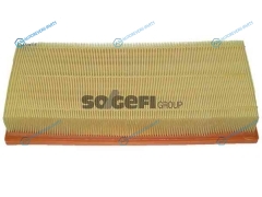 CA10236 Фильтр воздушный FRAM