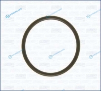 16029000 Кольцо уплотнительное
