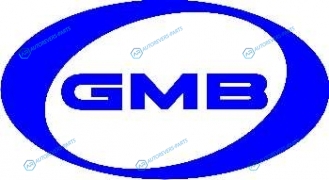 GT80630 Ролик ГРМ GMB