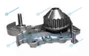 DP025 Насос водяной