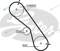 5560XS Ремень ГРМ