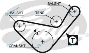 5436XS Ремень ГРМ