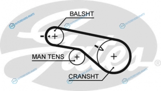 5570XS Ремень ГРМ