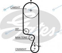 5535XS Ремень ГРМ