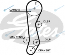 5389XS Ремень ГРМ