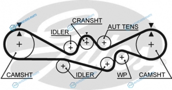 5241 Ремень ГРМ