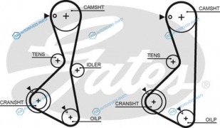 5373XS Ремень ГРМ