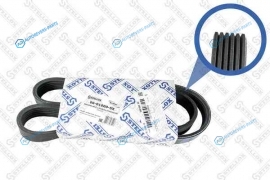 06-01000-SX_ремень поликлиновой! 6PK1000 | Fiat Croma 2.4 20V 05>
