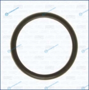 00538100 Прокладка термостата