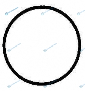 702.358 Прокладка термостата