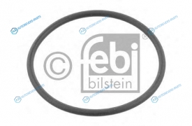 11443 Прокладка термостата