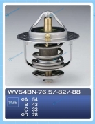 WV54BN-76.5 Термостат ТАМА
